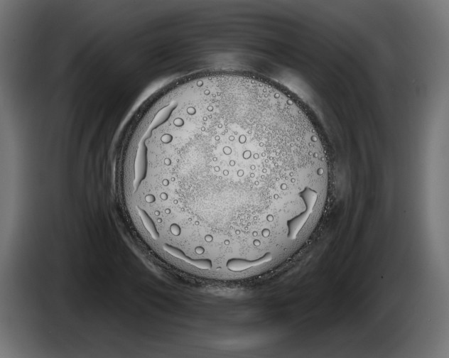 X0000083020886200703022000