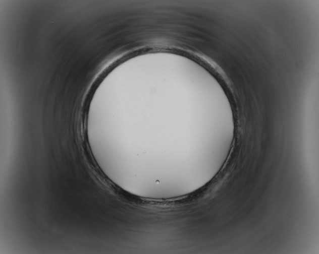 X0000083020887200703022000