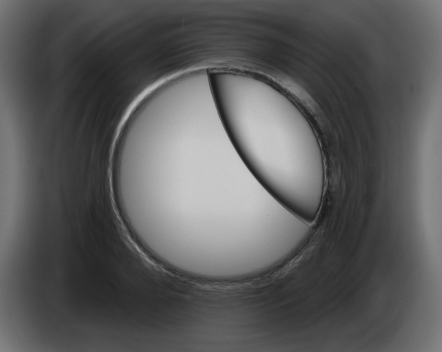 X0000083020888200703022000