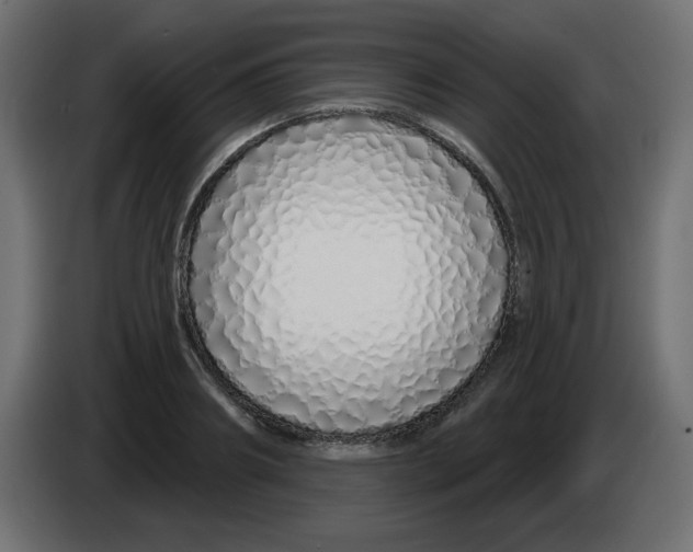 X0000083020890200703022000