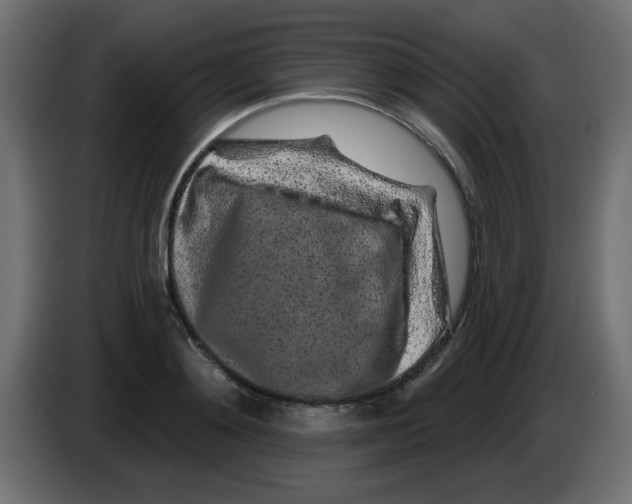 X0000083020892200703022000