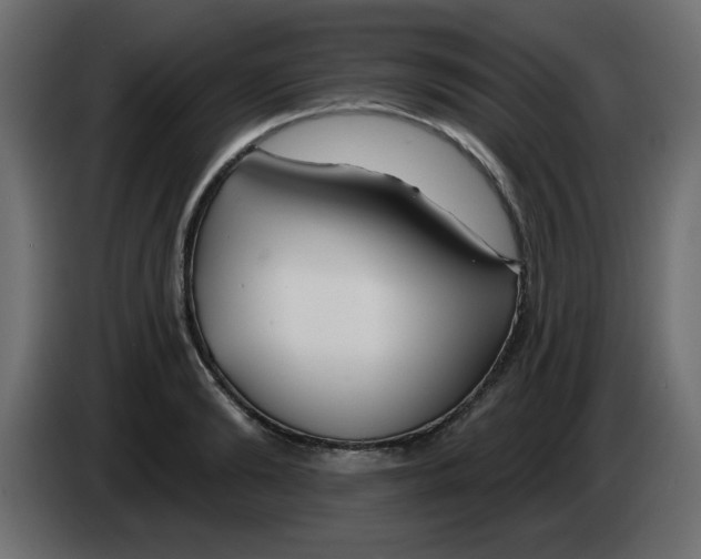 X0000083020894200703022000