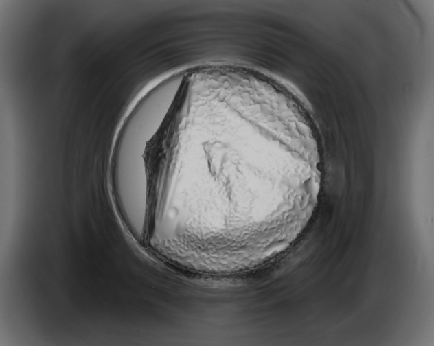 X0000083020895200703022000