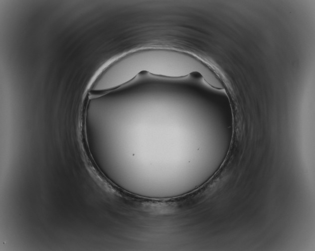 X0000083020896200703022000