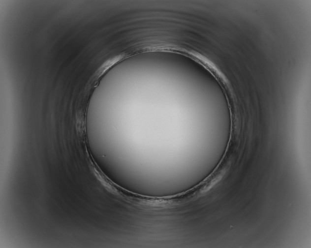 X0000083020897200703022000