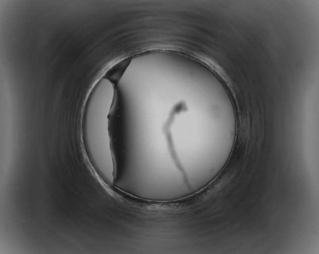 X0000083020898200703022000