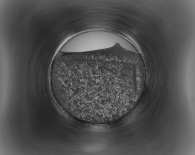 X0000083020899200703022000