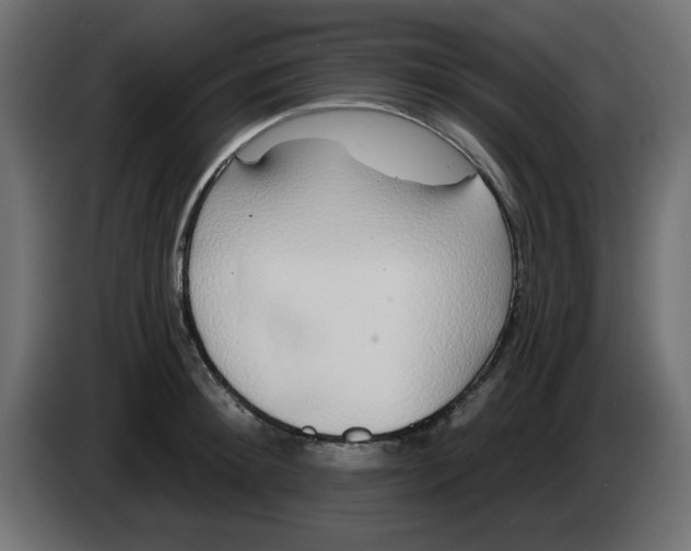 X0000083020900200703022000