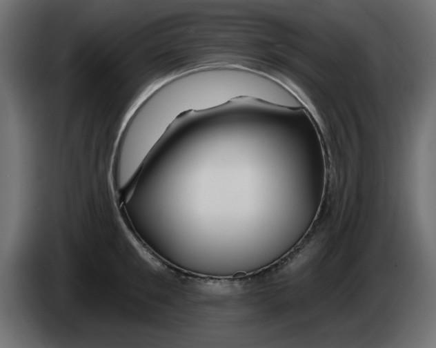 X0000083020901200703022000