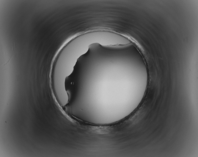 X0000083020902200703022000