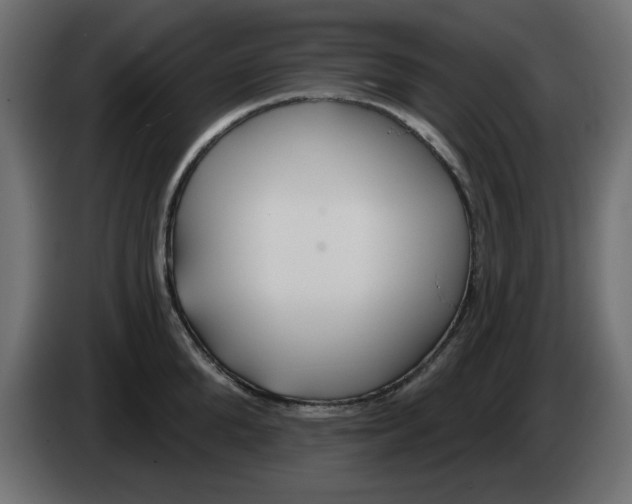 X0000083020904200703022000