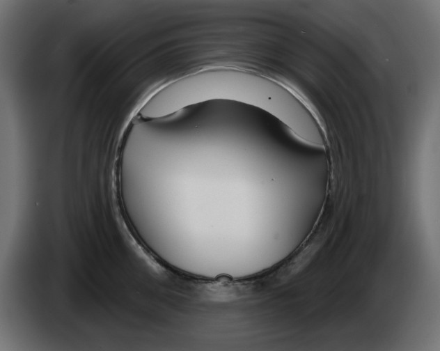 X0000083020906200703022000