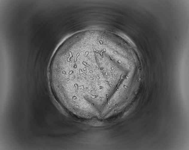 X0000083020907200703022000