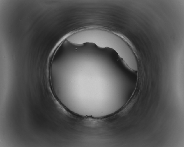 X0000083020910200703022000