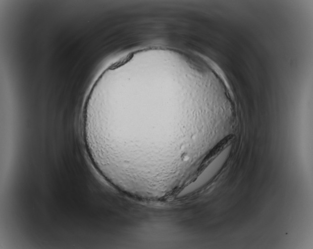 X0000083020911200703022000