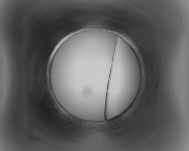 X0000083020912200703022000