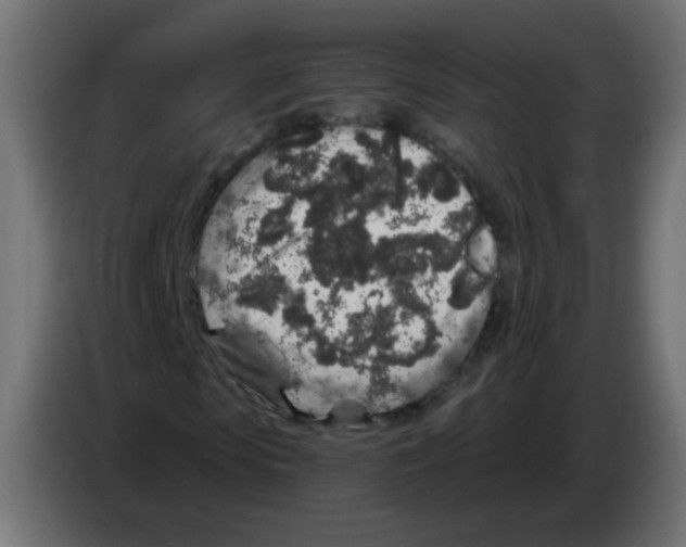 X0000083020913200703021959