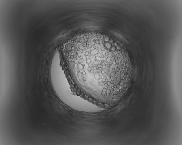 X0000083020917200703021959