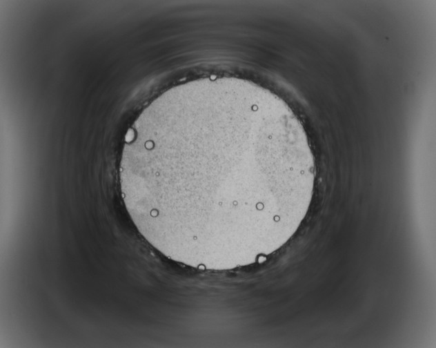 X0000083020918200703021959