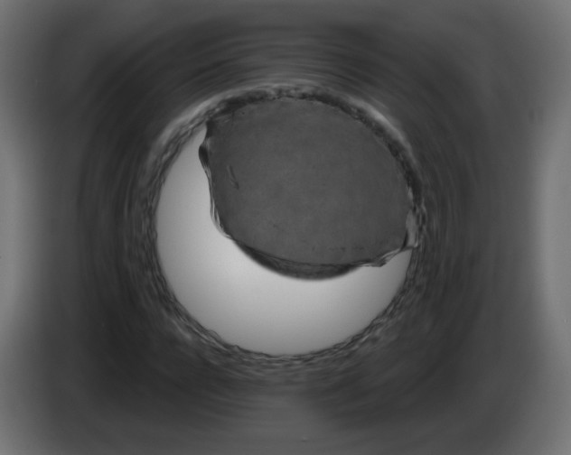 X0000083020920200703021959