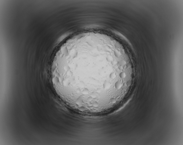 X0000083020921200703021959