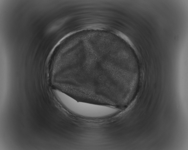 X0000083020923200703021959