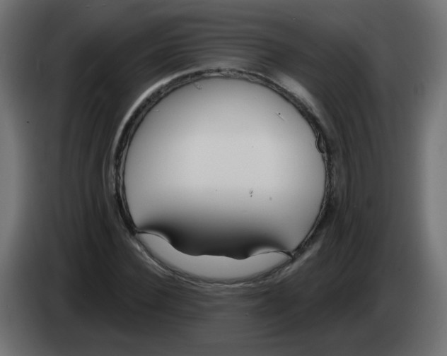 X0000083020924200703021959