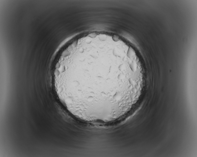 X0000083020925200703021959