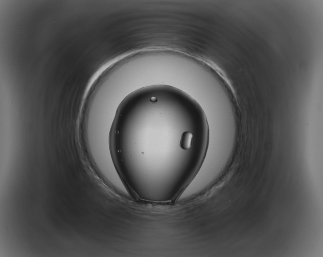 X0000083020928200703021959