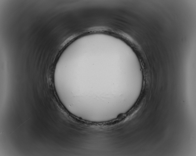 X0000083020929200703021959