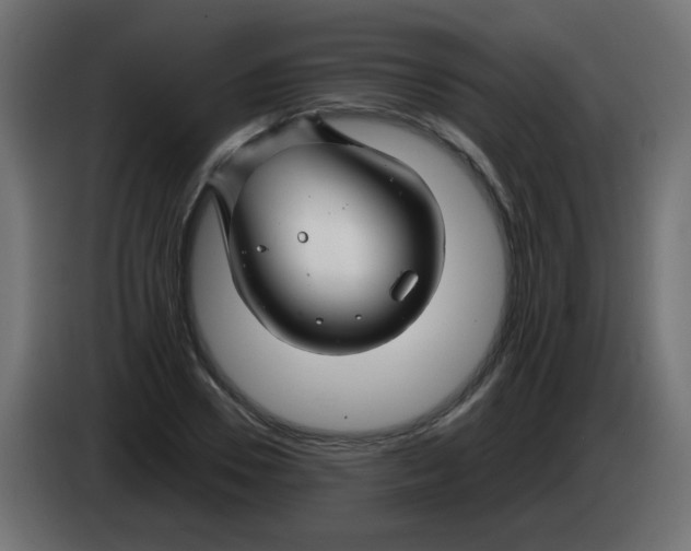 X0000083020930200703021959