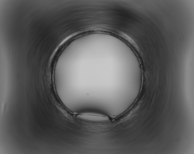 X0000083020931200703021959