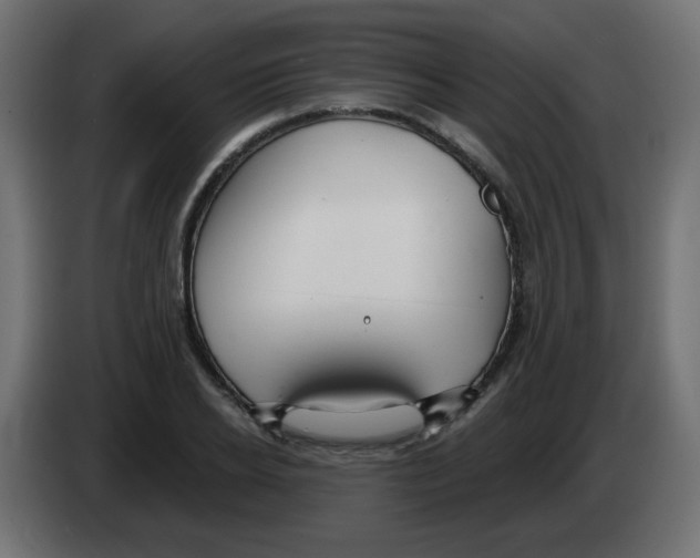 X0000083020934200703021959