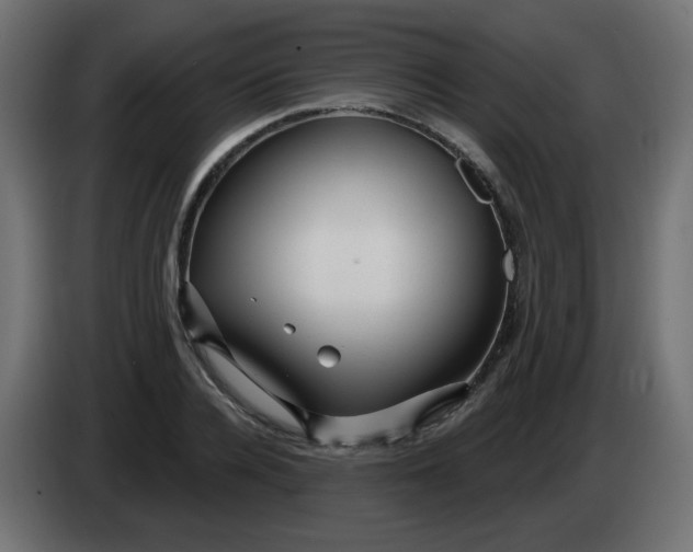 X0000083020936200703021959