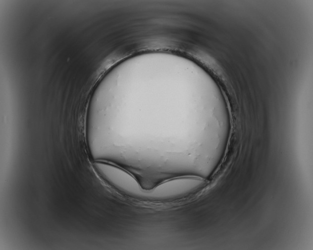 X0000083020937200703021959