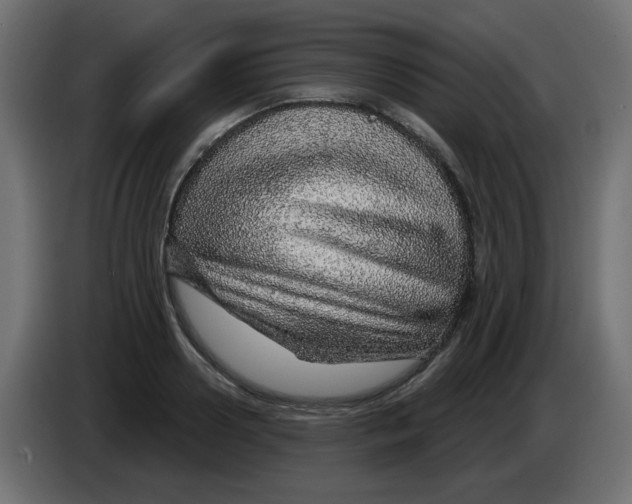 X0000083020938200703021959