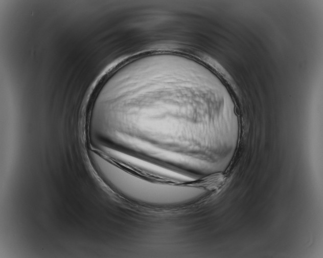 X0000083020939200703021959