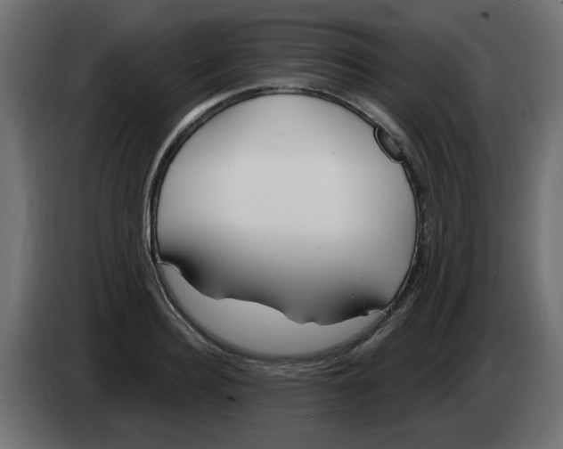 X0000083020940200703021959