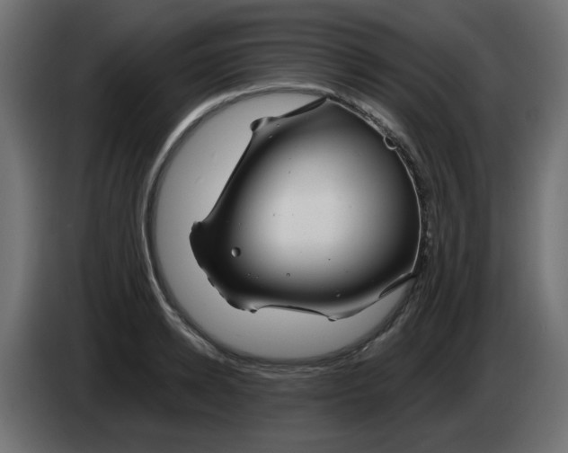 X0000083020942200703021959