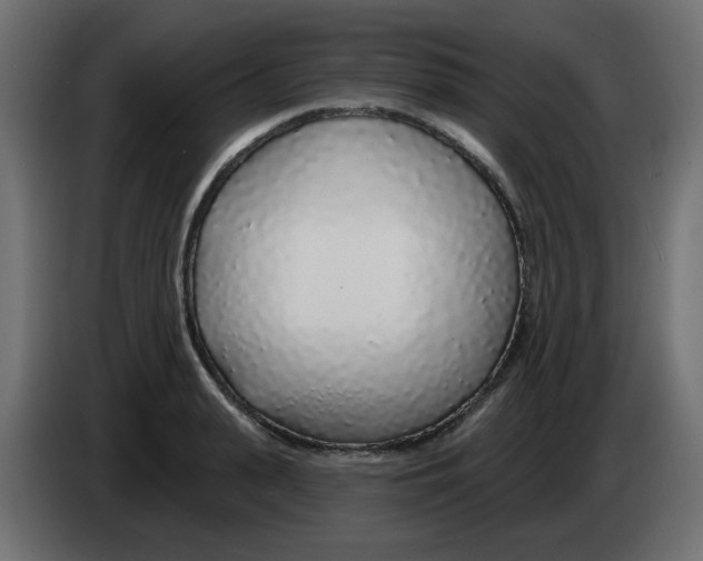 X0000083020943200703022000