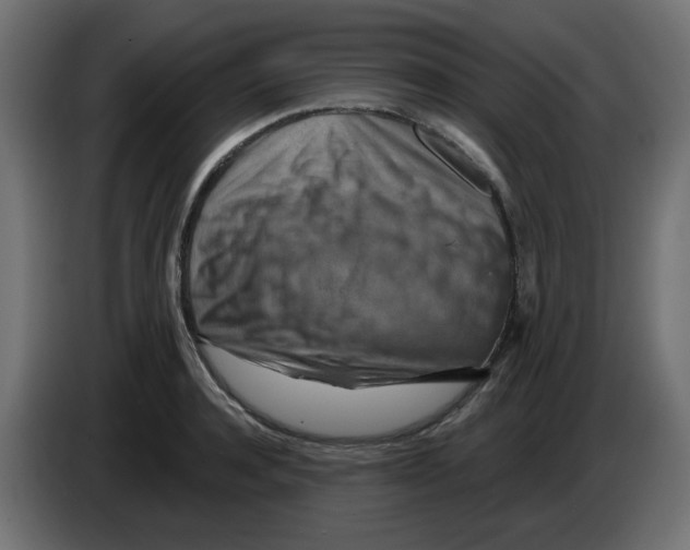 X0000083020944200703022000