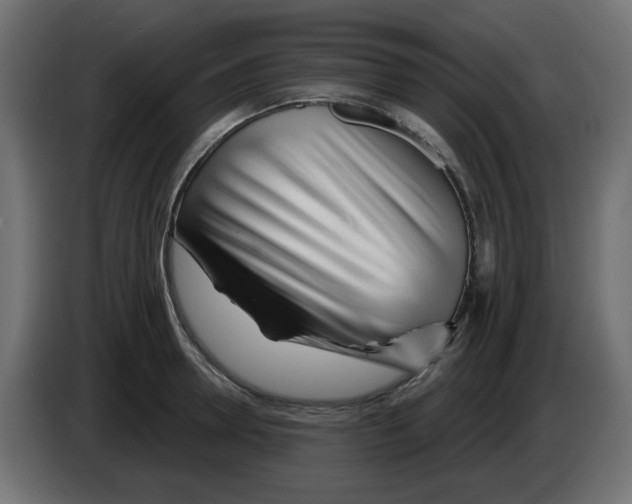 X0000083020946200703022000