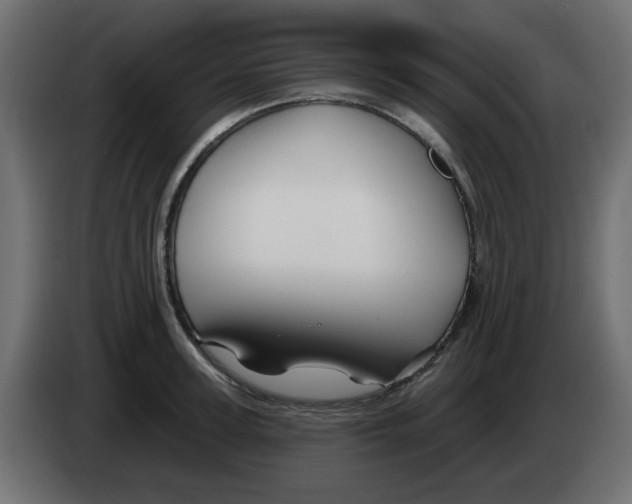 X0000083020947200703022000