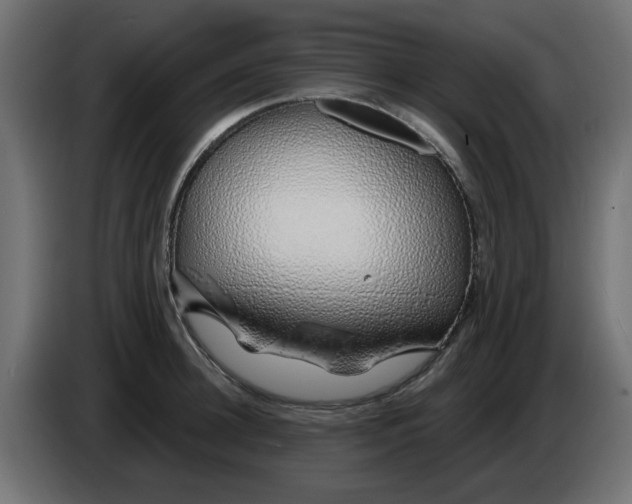 X0000083020948200703022000