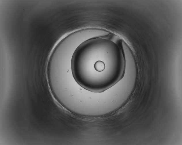 X0000083020950200703022000