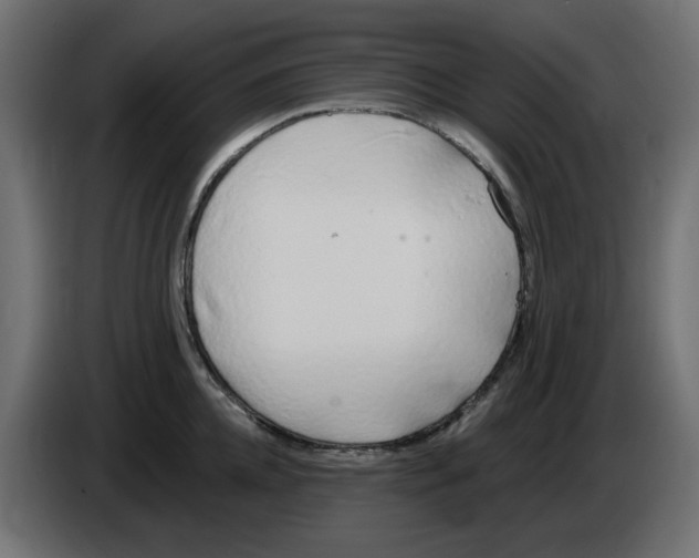 X0000083020952200703022000