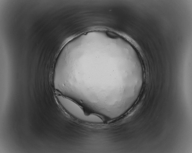 X0000083020953200703022000