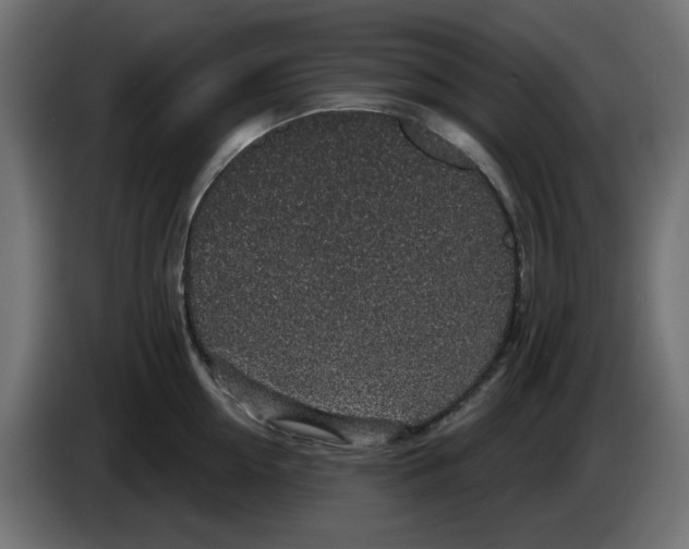 X0000083020954200703022000