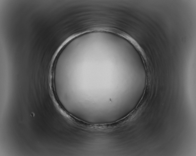 X0000083020955200703022000