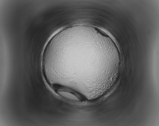 X0000083020957200703022000